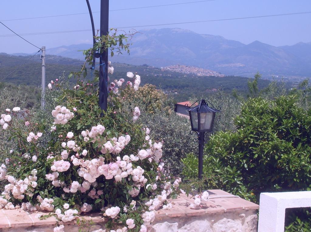 B&B H.M. Sonnino Bagian luar foto